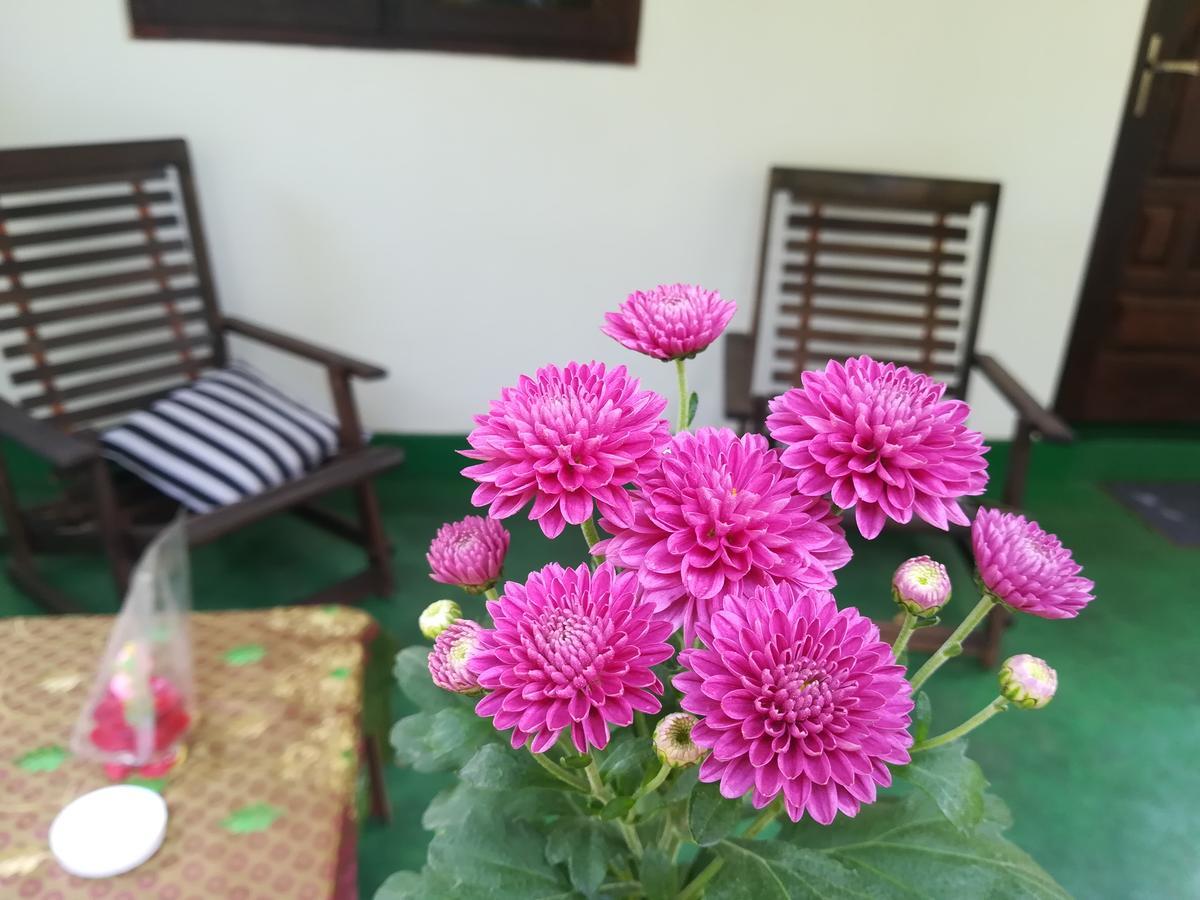 Lakmal Homestay ,10 Minutes To Sigiriya Rock Exterior photo